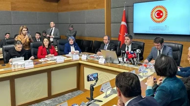 Bebek Ölümlerini ve Özel Sağlık Kuruluşlarını Araştırma Komisyonu Toplandı