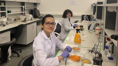 Kamkat meyvesinin özü kanser ilacının etkisini artırıyor