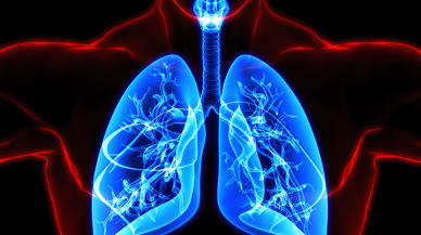 Çocuklarda bronşitin yayılmasını engelleyen 6 önlem