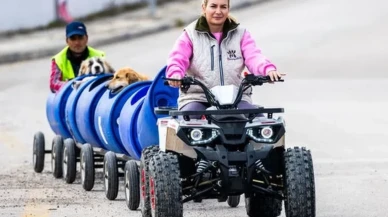 Buket Özgünlü tutuklandı! Yaşama Tutunan Patiler Derneğine soruşturma!