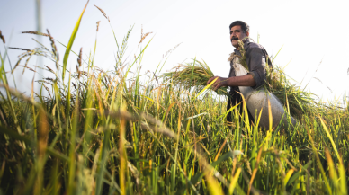AB çiftçilerin rekabet gücünü artırmak istiyor