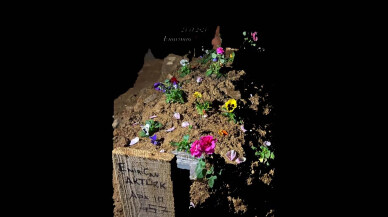 TikTok Emircan Aktürkoğlu Olayı Nedir, Öldürüldü Mü, Ölüm Sebebi Merak Ediliyor!