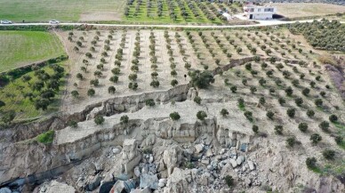 Uzmanlar incelemeye başladı! 485 diri faydan biri evinizin altında olabilir