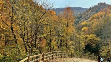 Aktaş Şelalesi, ziyaretçilerine tabiatın ahengini izletiyor