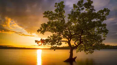 Bugün hava nasıl olacak? Meteoroloji açıkladı