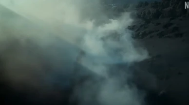 La Palma'nın konusu ne, ne zaman yayınlanacak, dizide hangi oyuncular rol alıyor? La Palma fragman izle