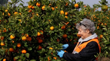 Sağlıklı beslenmede sembol haline geldi