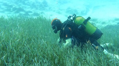 Mavi Nefes Projesi’yle 3 yılda 250 tona yakın atık toplandı