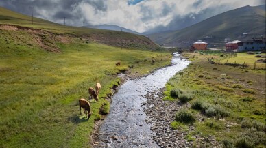 Gümüşhane'de yaylalar 15 Mayıs'a kadar kapalı kalacak