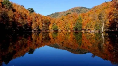 Yedigöller Milli Parkı: Doğanın Kalbinde Eşsiz Bir Cennet