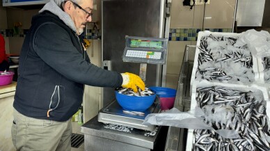 Kar suyuyla yağlanarak lezzetini artıran hamsi, Sinop'ta tüketicilerin ilk tercihi oluyor