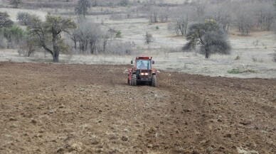 Ordu'da 200 dönümlük atıl araziyi tarıma kazandırdı