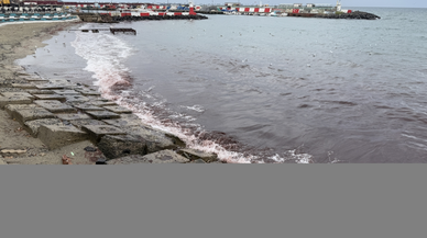 Tekirdağ'da lodos nedeniyle sahilde kırmızı yosun birikti