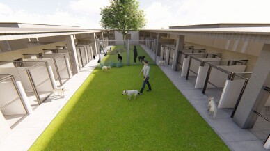 Sahiplendiği hayvanı kaybedenler 3 yıl hayvan sahiplenemeyecek