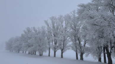 Meteoroloji’den kuvvetli rüzgar, buzlanma, don ve çığ uyarısı