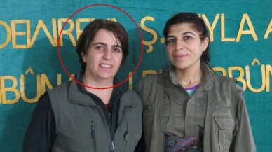 MİT'ten Suriye Kamışlı'da nokta operasyon