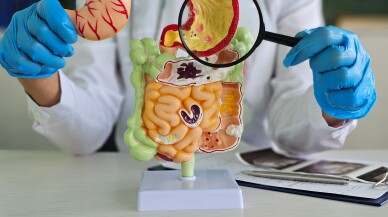 Sindirim Sağlığı İçin Prebiyotik ve Probiyotik Kullanımı