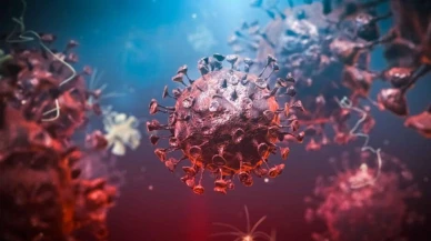 Bozuk dokuları kansere dönüşmeden yok etmek için cihaz geliştirildi