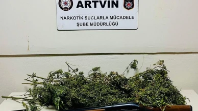 Artvin’de zehir tacirlerine darbe: 1 kilo esrarla yakalandı!