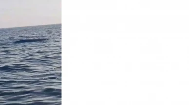 Artvin açıklarında şüpheli cisim paniği: Balıkçılar insansız deniz aracı sandı!