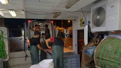 Akçakoca’da hamsi çılgınlığı: 198 ton çıktı, yasal olmayan avlanmaya cezalar yağdı!