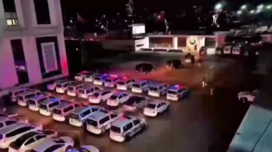 Gömdüler, kazdırdılar, soydular... Akılalmaz vurgun!