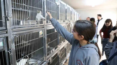 Dünya Hayvanları Koruma Günü'ne özel Gaziosmanpaşa’da çocuklardan anlamlı etkinlik