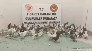 Ticaret Bakanlığı ekiplerinden canlılara nefes aldıran operasyon!