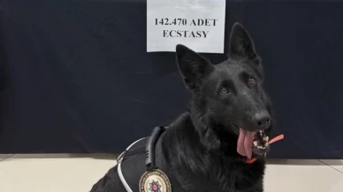 Polisin refleksi faciayı önledi, dev sevkiyat yola çıkamadan yakalandı!