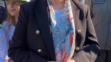 Kokarca istilasına karşı 250 sülün doğaya salındı