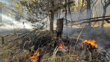 Sarıkamış’ta korkutan orman yangını: Alevler 2 Hektarlık alanı kül etti