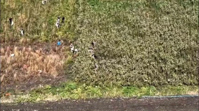 Evin arkasındaki tarlaya kimse yaklaşamıyordu sebebi ortaya çıktı!