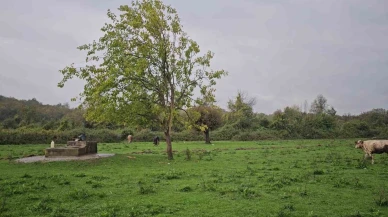Zonguldak’ta su kuyusunda kadın cesedi bulundu