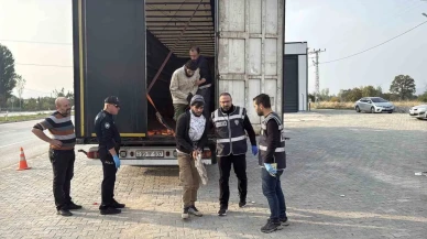 Sıradan bir trafik uygulamasıydı, gerçek bambaşka çıktı!