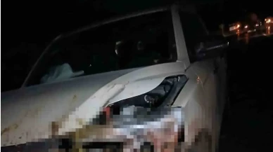 Kamyonet sürüye çarptı: Elazığ’da feci anlar kamerada!