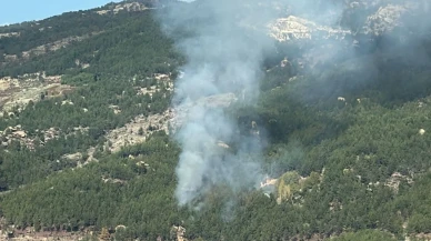 Muğla’da korkutan alevler! Havadan ve karadan müdahale