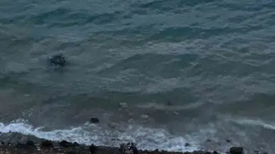Virajı alamadı, denize 'dalış' yaptı! Film gibi kurtarma operasyonu