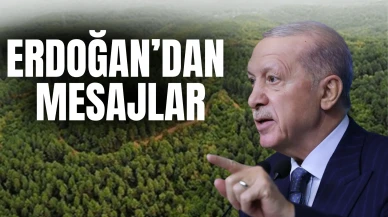Cumhurbaşkanı Erdoğan: 'Ormanlarımızı sadece ağaç olarak değil, nefes olarak görüyoruz'