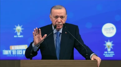 DEM Partili Türk'ten çözüm süreci yorumu: 'Erdoğan bu süreci desteklediği için süreç ilerliyor'