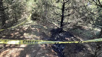 Gürcistan’da ölüm sessizliği! Ormanda Türk vatandaşına kanlı tuzak