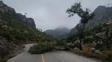 Denizin öfkesi karaya taştı...Sahil şeridi savaş alanına döndü!
