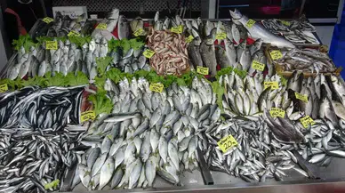 Karadeniz’de bu yılın sürpriz balığı belli oldu