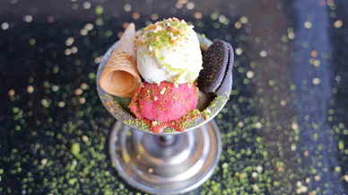 Alpedo hakkındaki “ölümcül bakteri” iddiasında gerçek ortaya çıktı