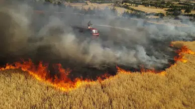 Karanlığı aydınlatan yangın: Bucak'taki arazi alevlere teslim oldu!