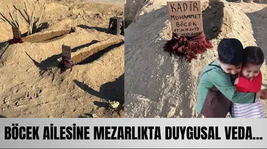 Böcek ailesine mezarlıkta duygusal veda... Kahreden detay yürekleri dağladı