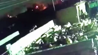 Ağıla giren kurt, koyunu böyle telef etti