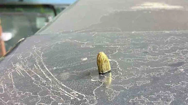 Rastgele sıkılan kurşun tehlike saçtı... Maganda dehşeti kıl payı atlatıldı!