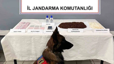 Kimyagerliğe soyunan ikiliye jandarma gerçekleri hatırlattı!