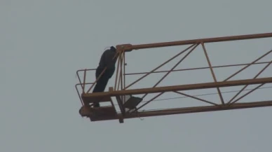 Avcılar’da parasını alamayan işçi kule vince çıktı