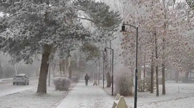 Erzurum ile Ardahan'da sis ve soğuk hava etkili oldu